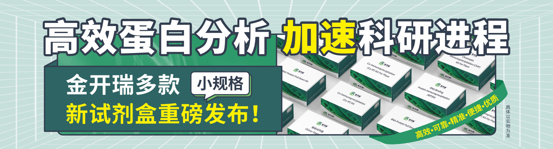 互作類(lèi)試劑盒